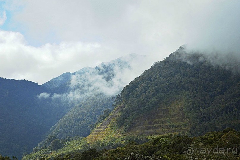 Экскурсии из Нячанга. ДАЛАТ.