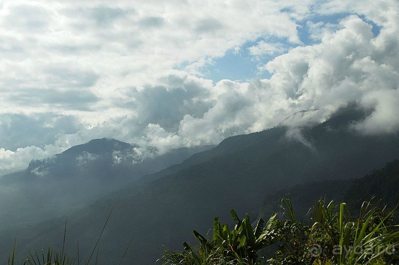 Экскурсии из Нячанга. ДАЛАТ.