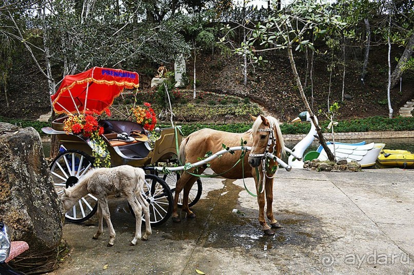 Экскурсии из Нячанга. ДАЛАТ.