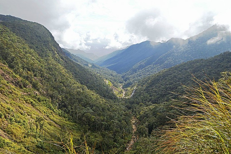 Экскурсии из Нячанга. ДАЛАТ.