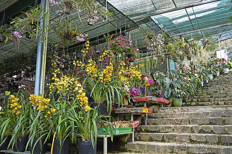 Экскурсии из Нячанга. ДАЛАТ.