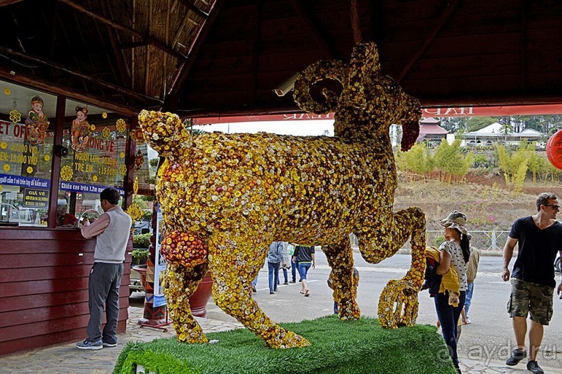 Экскурсии из Нячанга. ДАЛАТ.