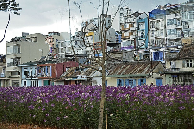 Экскурсии из Нячанга. ДАЛАТ.