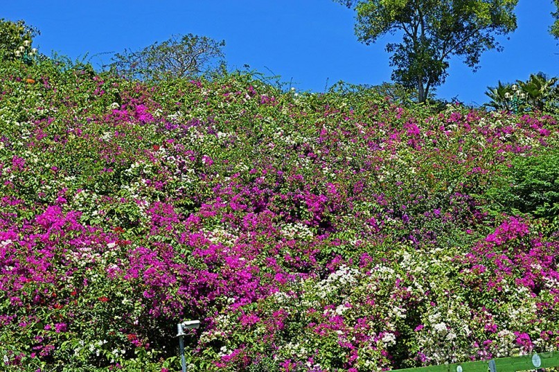 Экскурсии из Нячанга. ВИНПЕРЛ,