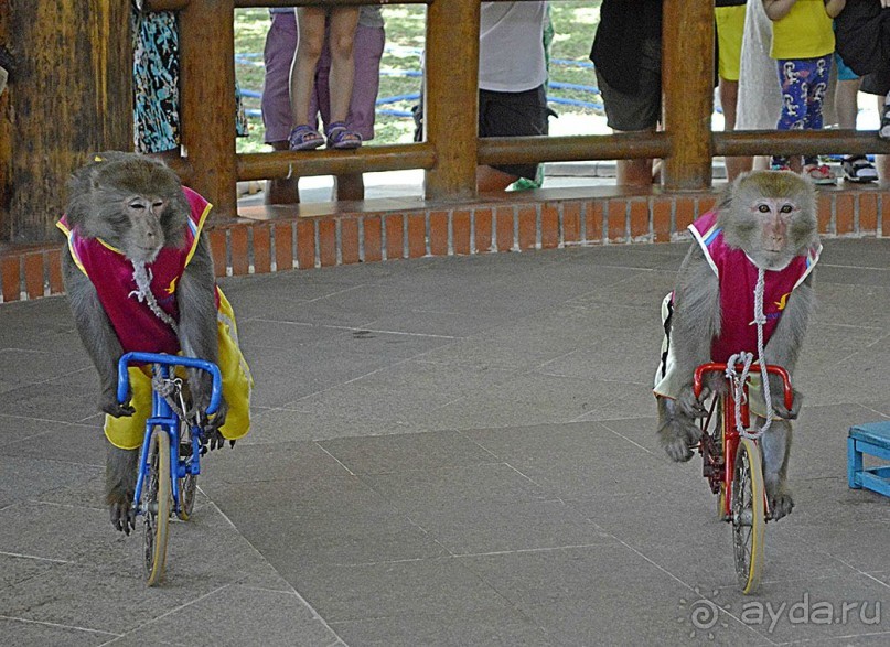 Экскурсии из Нячанга. ВИНПЕРЛ,