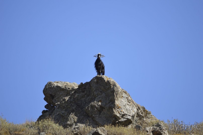 Чудесный остров. Часть 3.