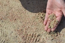 Чудесный остров. Часть 3.