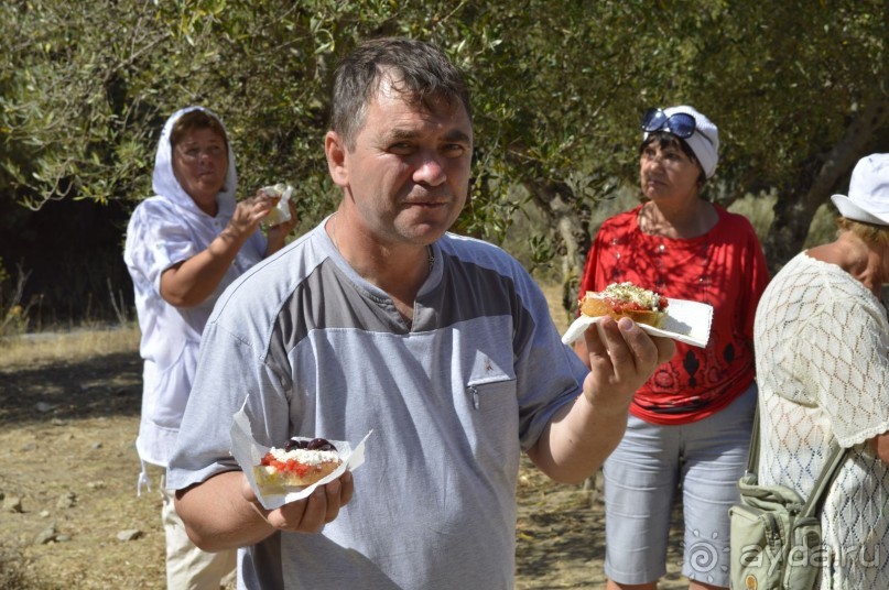 Чудесный остров. Часть 3.