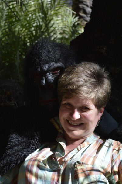 Чудесный остров. Часть 3.