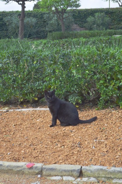 Калейдоскоп Каталонии или Барселона и окрестности.Часть 1.Барселона.