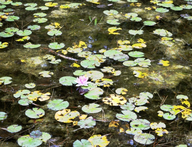 Калейдоскоп Каталонии или Барселона и окрестности.Часть 1.Барселона.