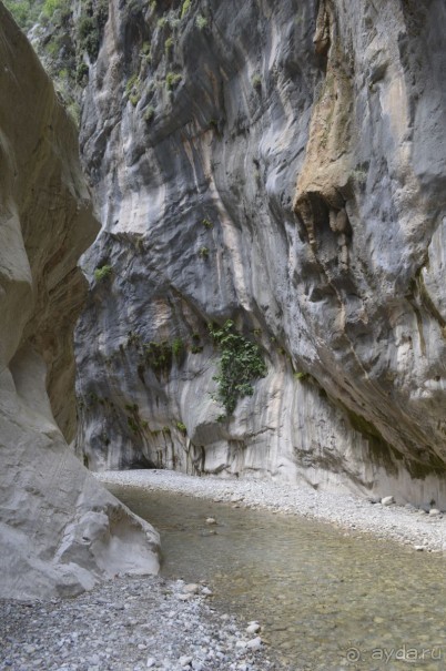 Турецкие каникулы.