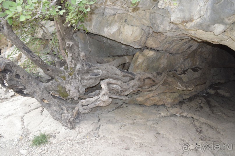 Турецкие каникулы.