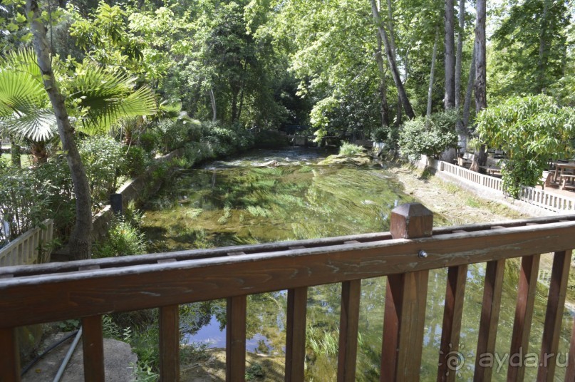 Турецкие каникулы.