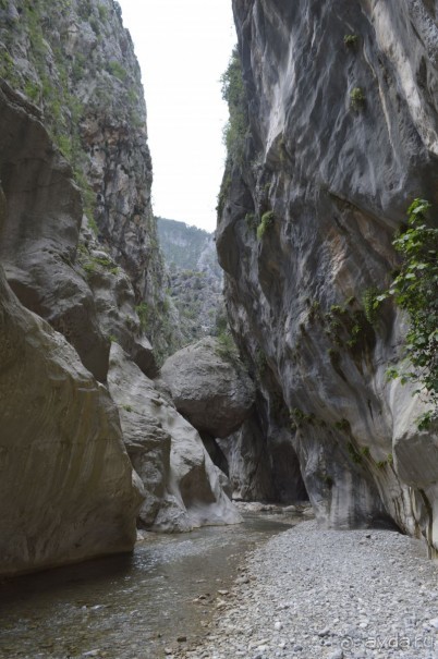 Турецкие каникулы.