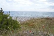 Турецкие каникулы.