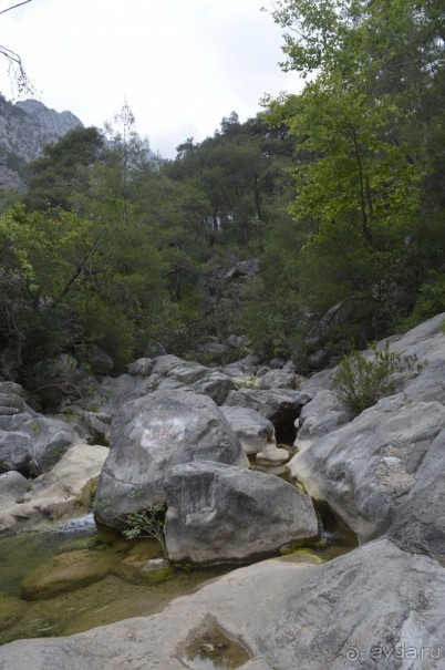 Турецкие каникулы.