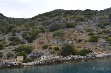 Турецкие каникулы.