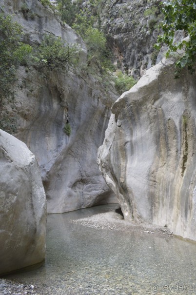 Турецкие каникулы.