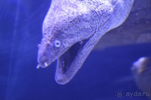 Турецкие каникулы.