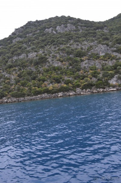 Турецкие каникулы.