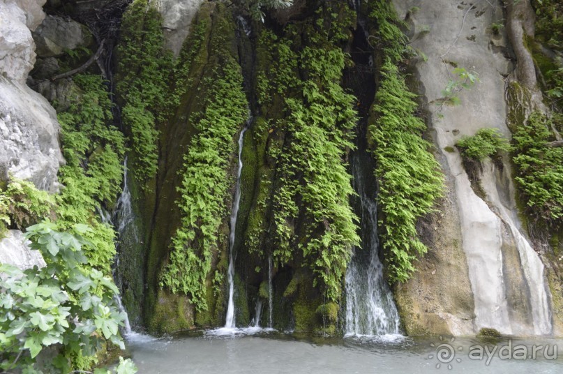 Турецкие каникулы.