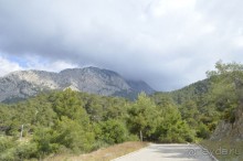 Турецкие каникулы.