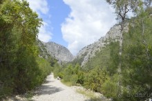 Турецкие каникулы.