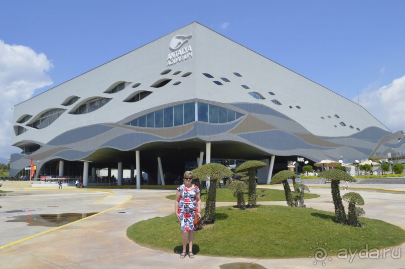 Турецкие каникулы.