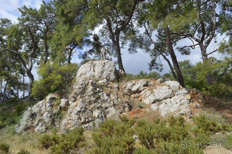 Турецкие каникулы.