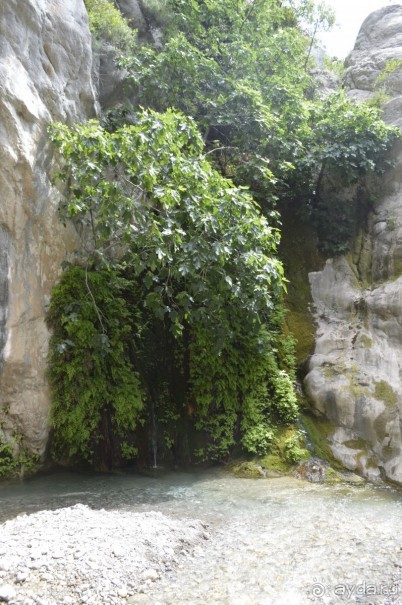 Турецкие каникулы.