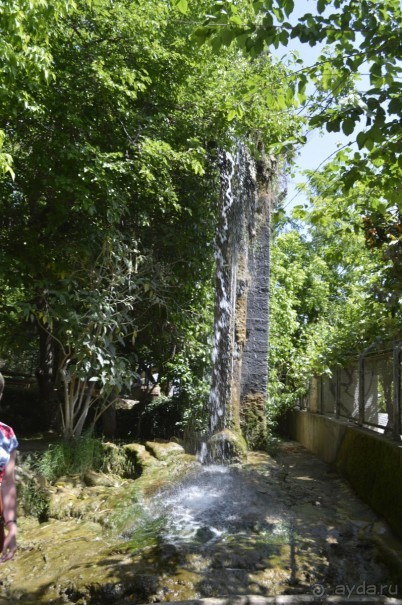 Турецкие каникулы.