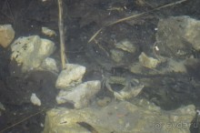 Турецкие каникулы.