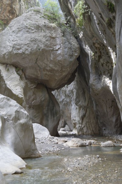 Турецкие каникулы.