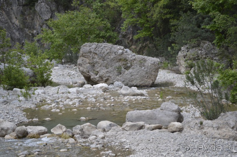 Турецкие каникулы.