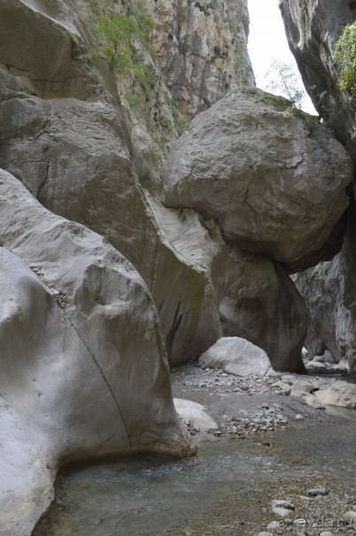 Турецкие каникулы.