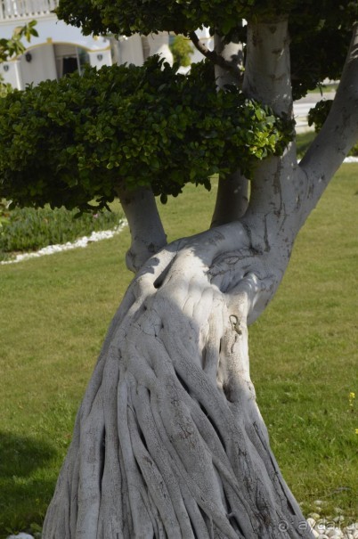 Турецкие каникулы.