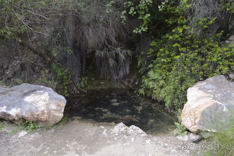 Турецкие каникулы.