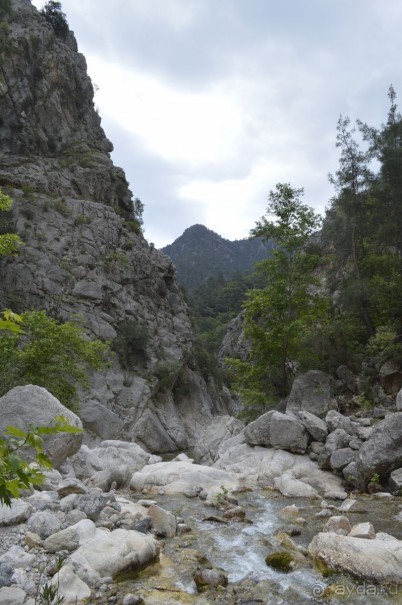 Турецкие каникулы.