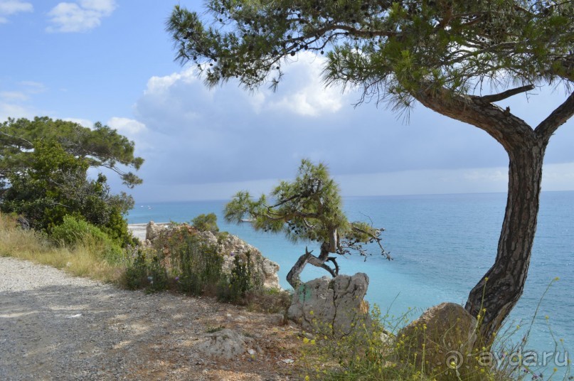 Турецкие каникулы.