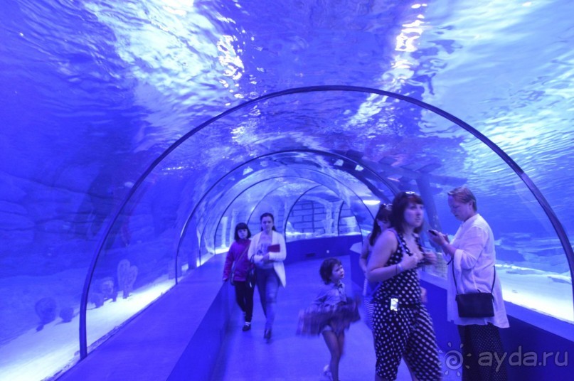 Турецкие каникулы.