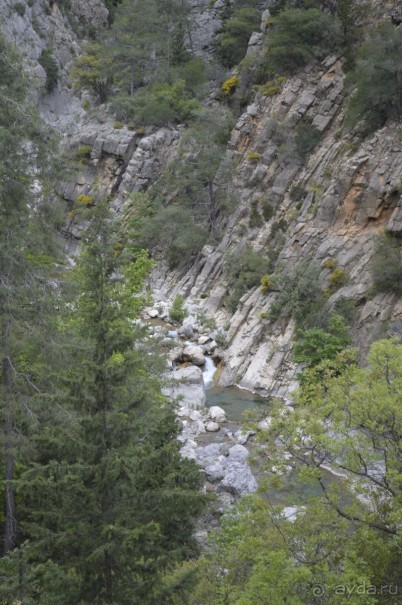 Турецкие каникулы.