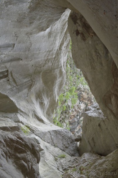 Турецкие каникулы.