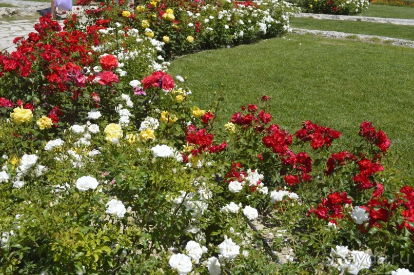 Турецкие каникулы.