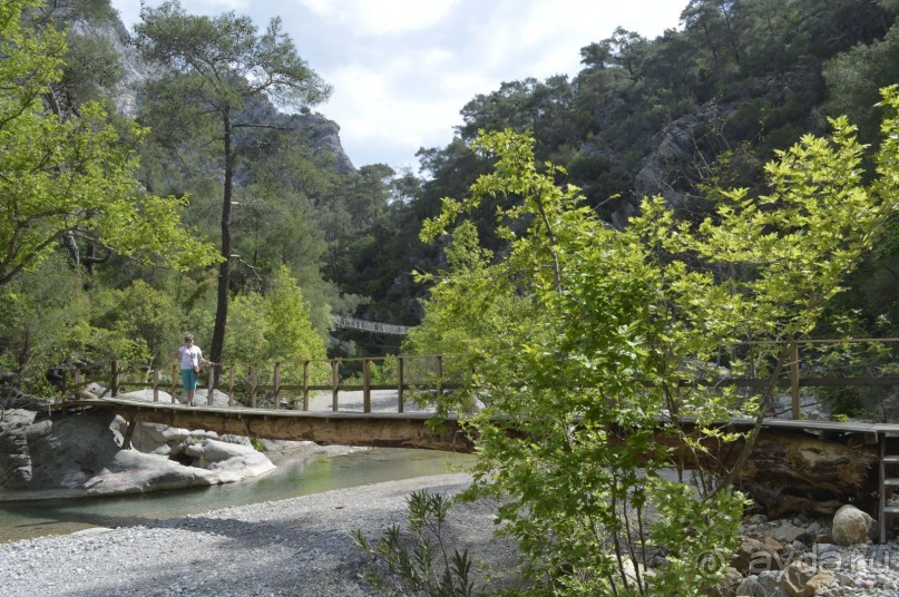 Турецкие каникулы.