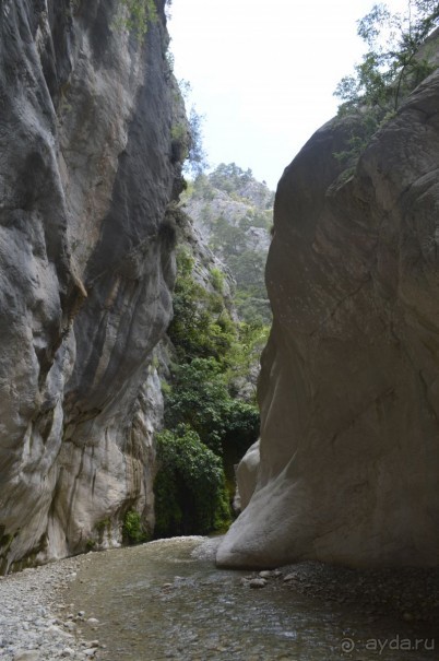Турецкие каникулы.