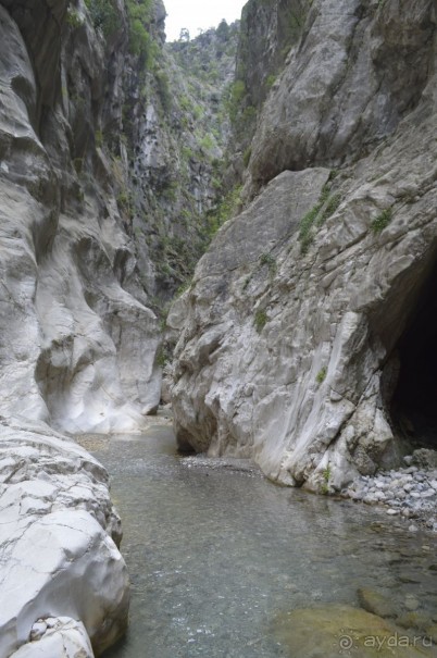 Турецкие каникулы.