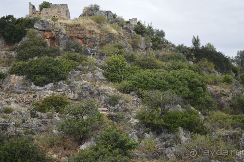 Турецкие каникулы.