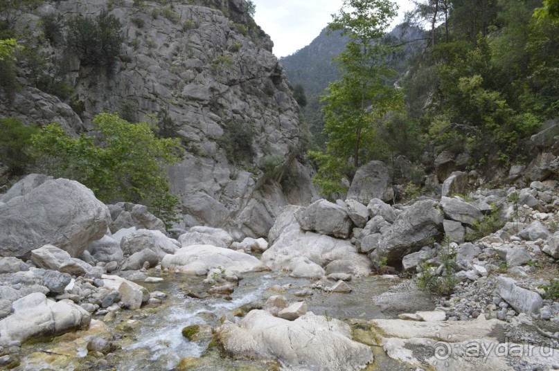 Турецкие каникулы.