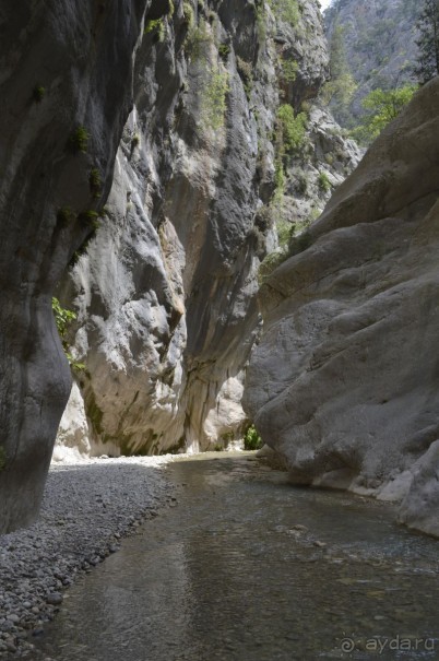 Турецкие каникулы.